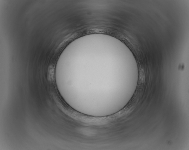 X0000091010036200708021416