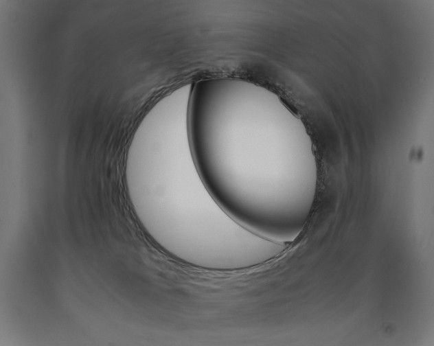 X0000091010037200708021416
