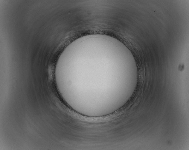 X0000091010038200708021415