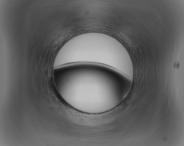 X0000091010039200708021415