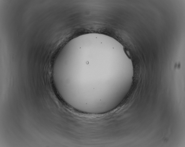 X0000091010040200708021415