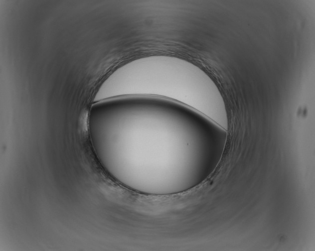 X0000091010041200708021415