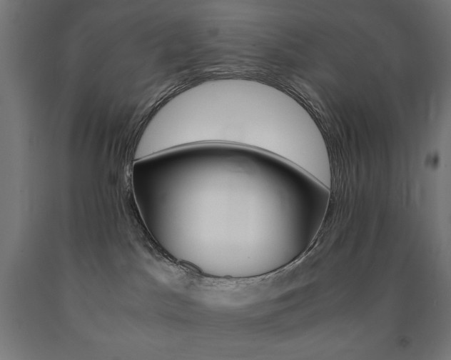 X0000091010045200708021415