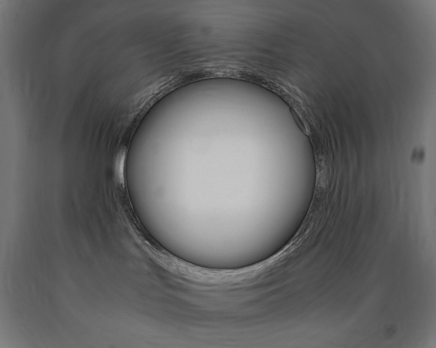 X0000091010047200708021415