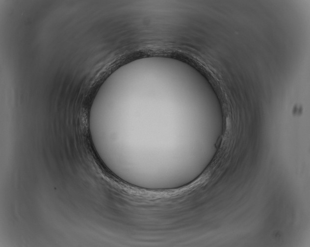 X0000091010048200708021415