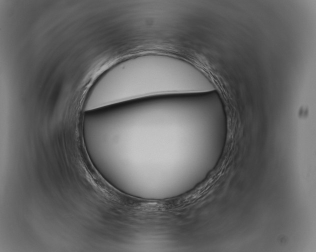 X0000091010050200708021415