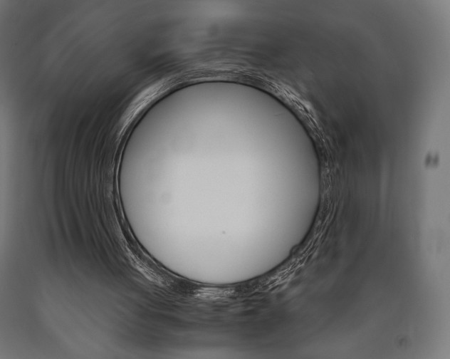 X0000091010051200708021415