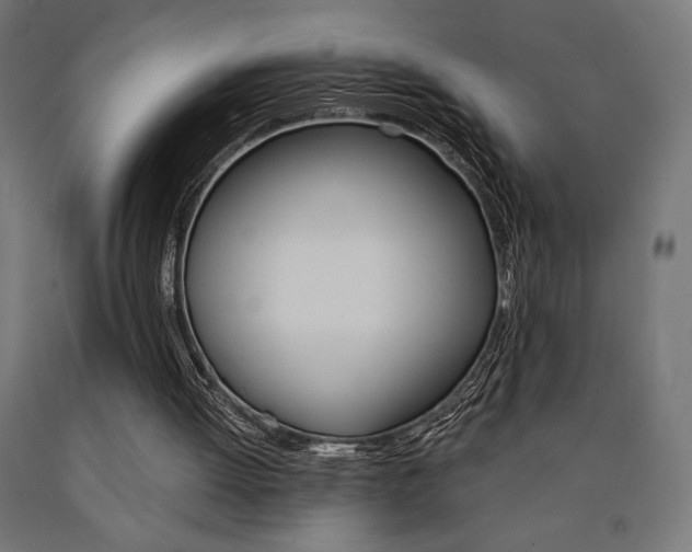 X0000091010052200708021415