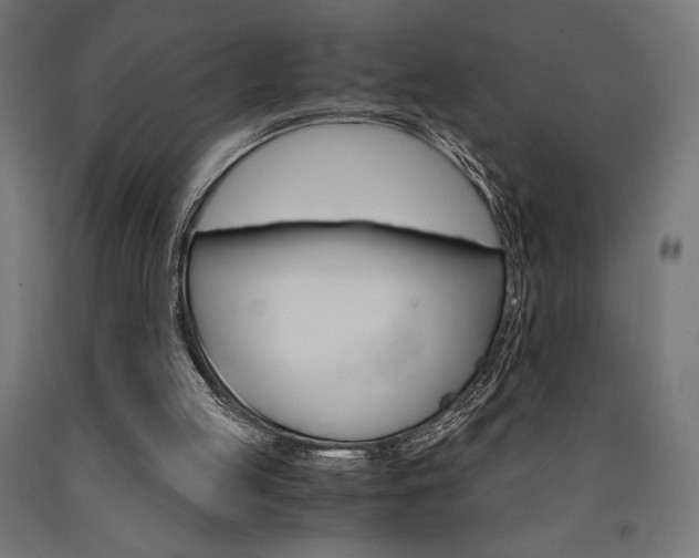 X0000091010053200708021415