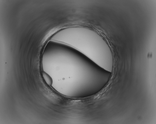 X0000091010054200708021415