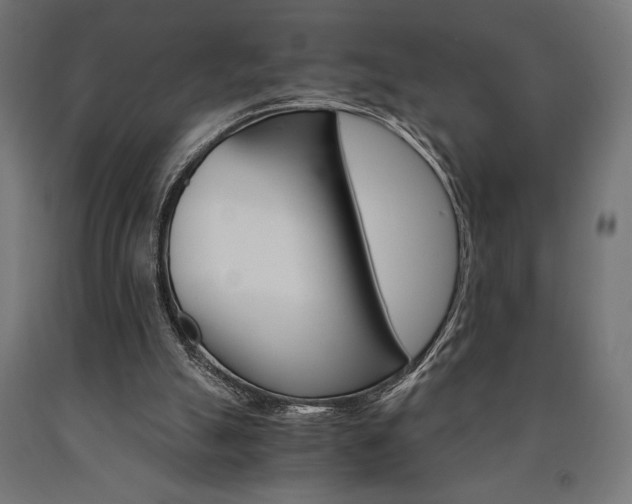 X0000091010055200708021415