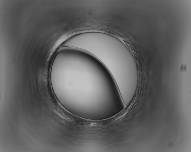 X0000091010056200708021415