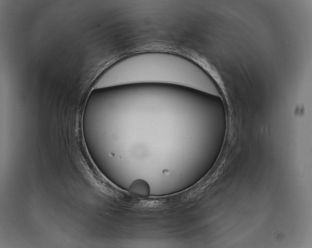 X0000091010057200708021415