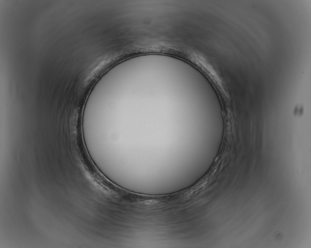 X0000091010058200708021415