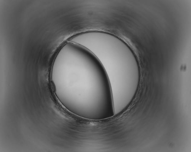X0000091010060200708021415