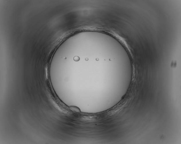 X0000091010061200708021415