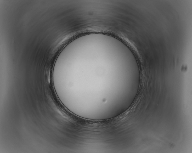 X0000091010062200708021415