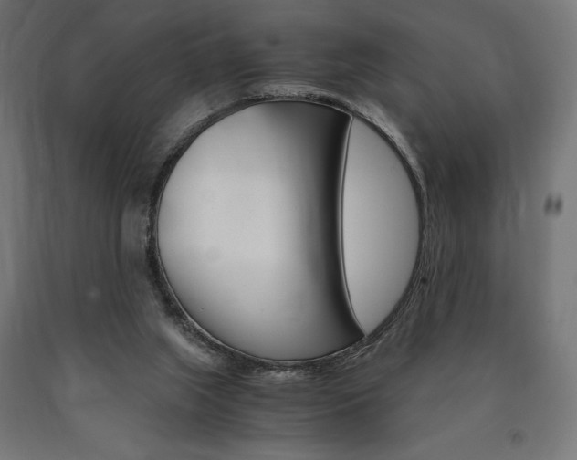X0000091010063200708021415