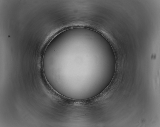 X0000091010064200708021415