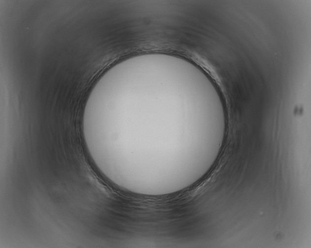 X0000091010065200708021415