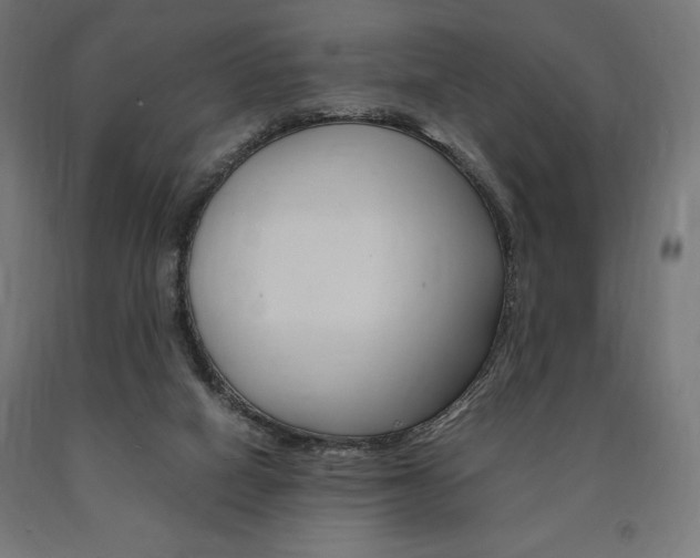 X0000091010066200708021415