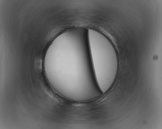 X0000091010067200708021415