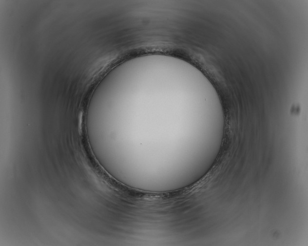 X0000091010070200708021415