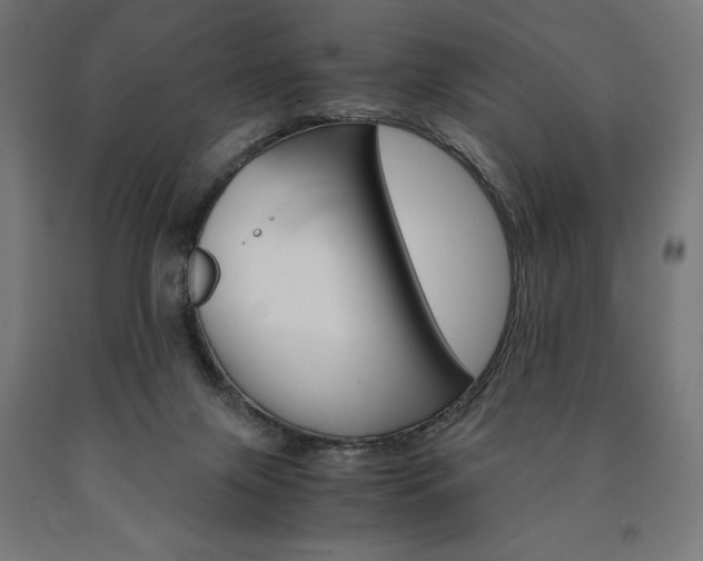 X0000091010071200708021415