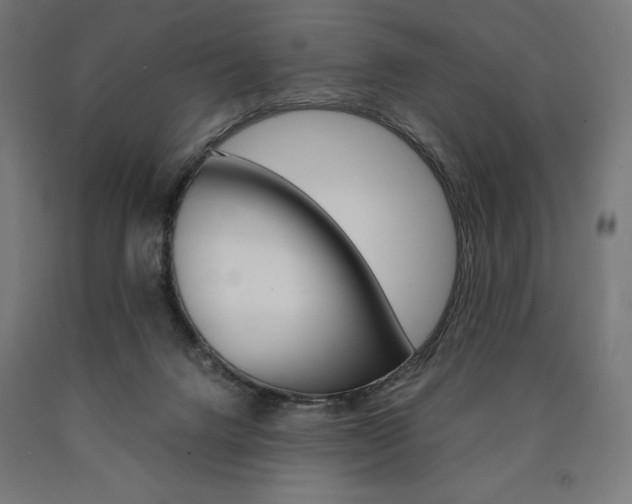 X0000091010072200708021415