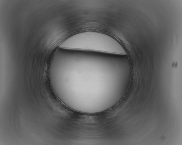 X0000091010073200708021415