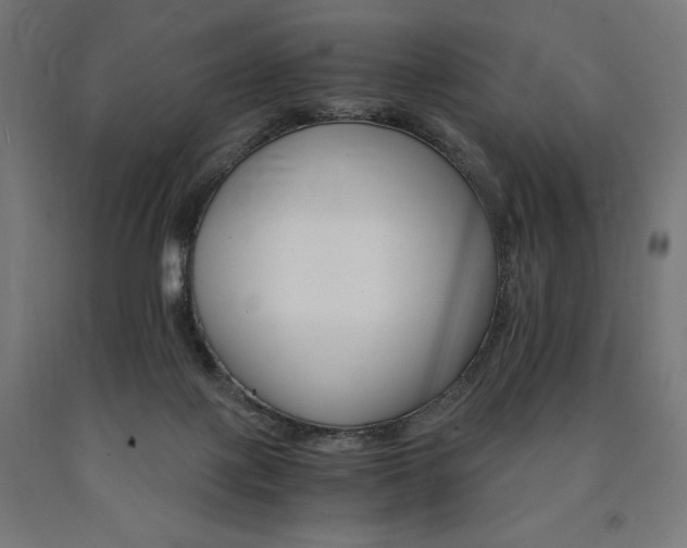 X0000091010075200708021415