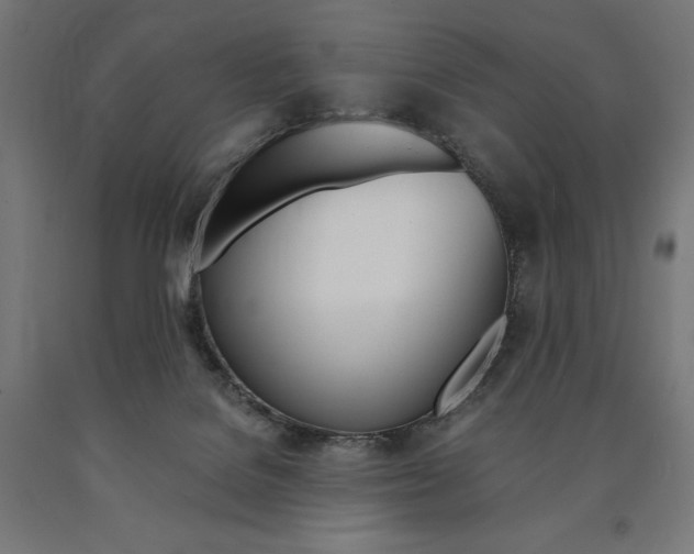 X0000091010076200708021415
