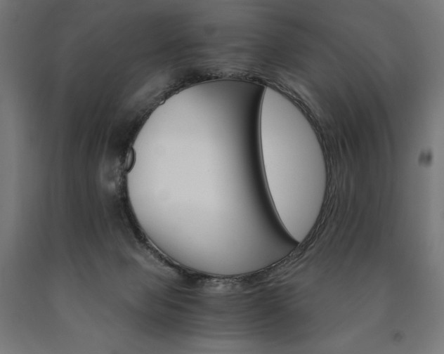 X0000091010077200708021415