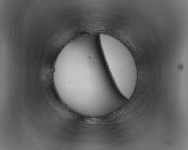 X0000091010079200708021415