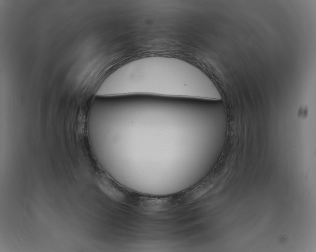 X0000091010081200708021415