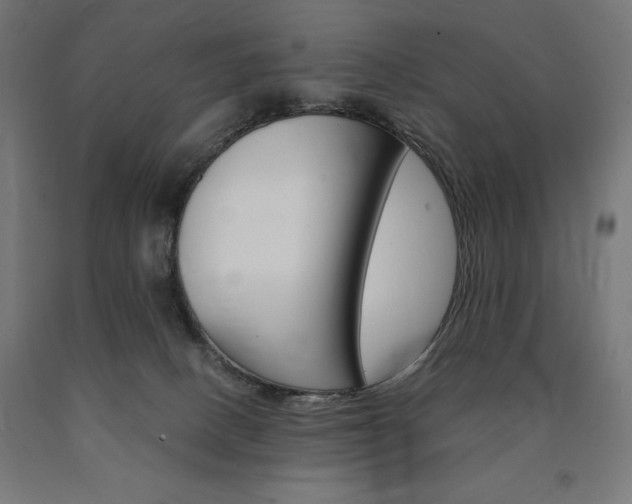 X0000091010082200708021415
