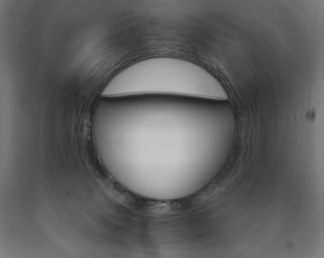 X0000091010083200708021415