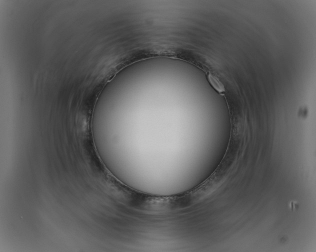 X0000091010084200708021415