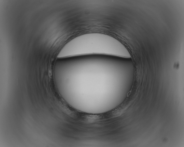 X0000091010085200708021415