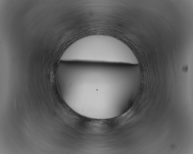 X0000091010086200708021415