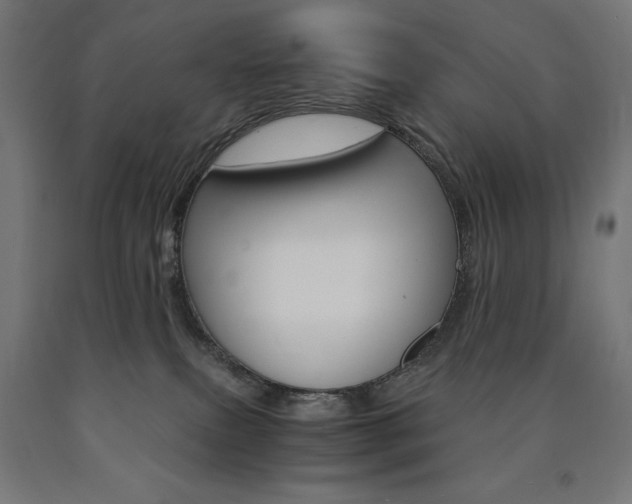 X0000091010087200708021415