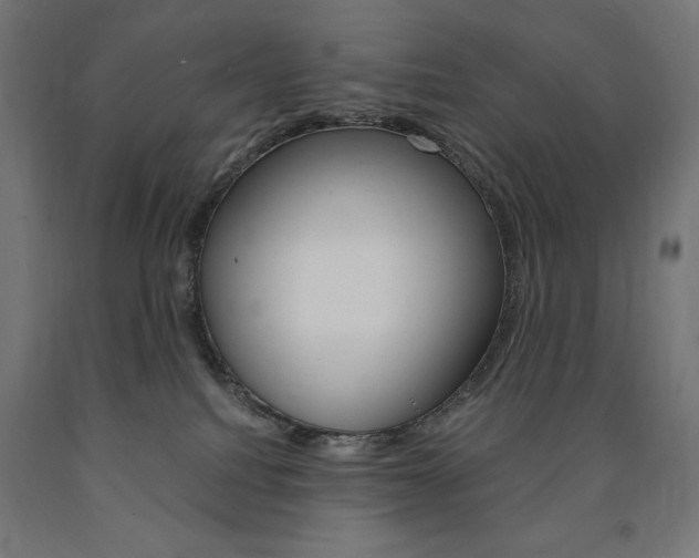 X0000091010088200708021415