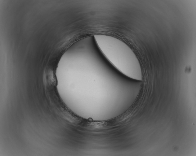 X0000091010089200708021415