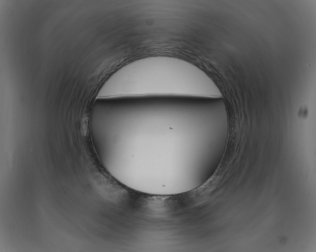 X0000091010090200708021415