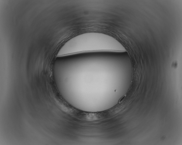X0000091010091200708021415