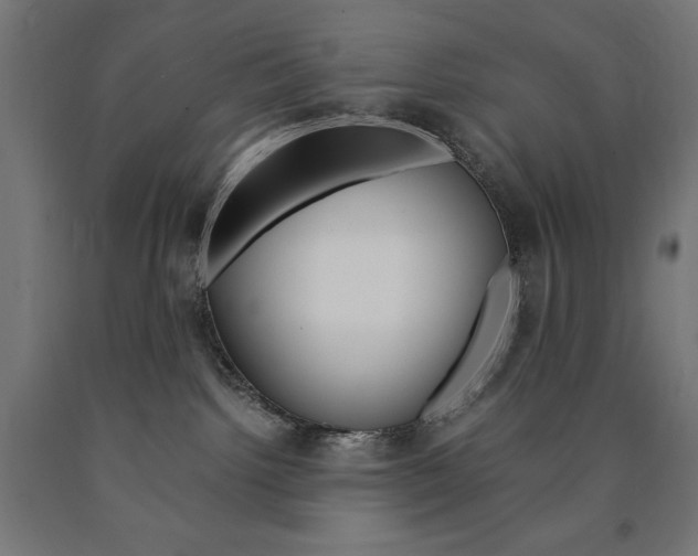 X0000091010092200708021415