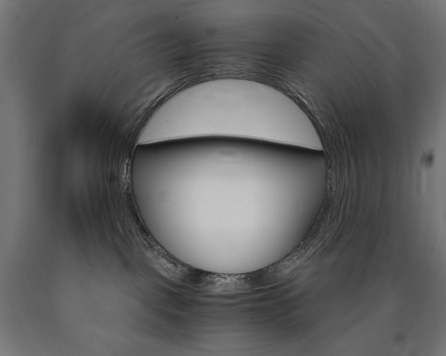 X0000091010093200708021415