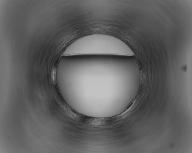 X0000091010094200708021415