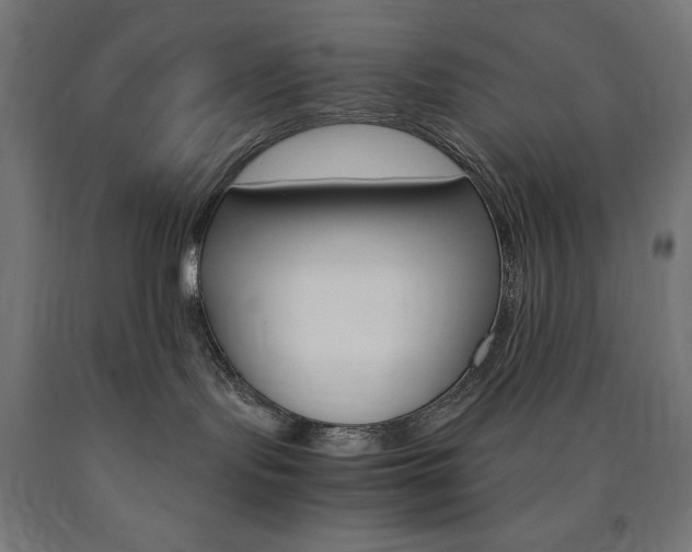 X0000091010095200708021415