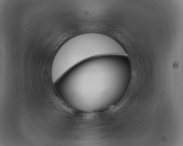 X0000091010096200708021415